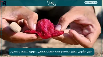 التين الشوكي لتعزيز المناعة وصحة الجهاز الهضمي.. فوائد تناولها باستمرار